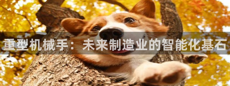 龙八国际app手机版下载苹果