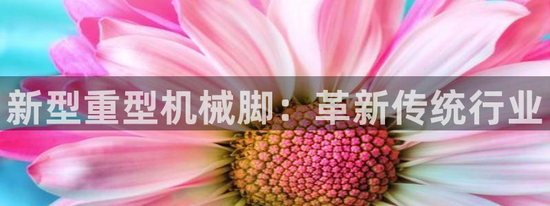 龙八国际 官网