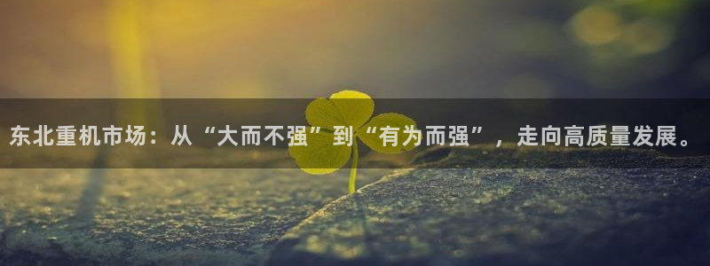 龙八国际新版本