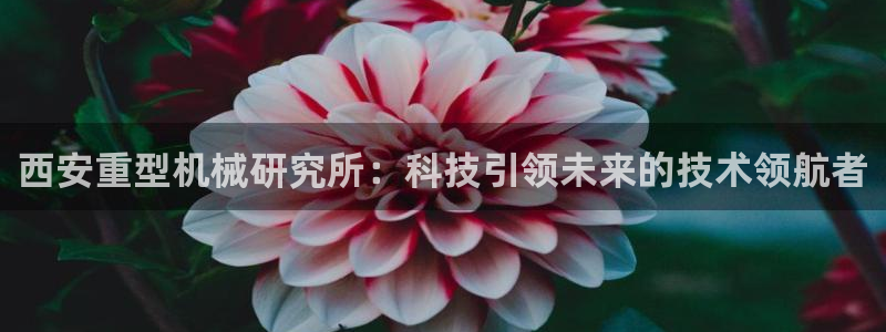 下载龙八国际app