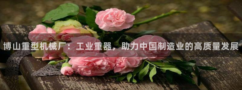 龙八国际登入