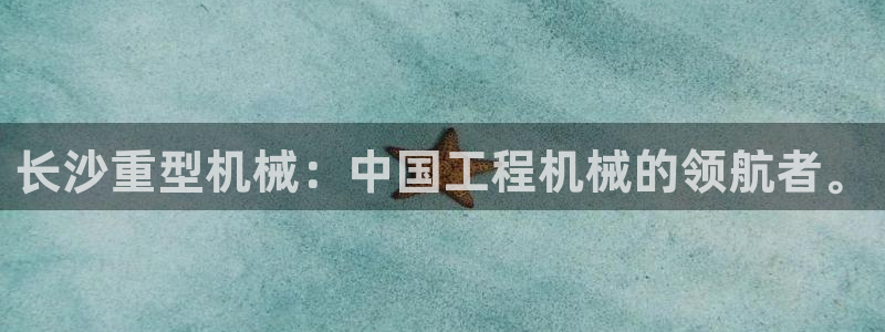 龙八国际软件下载