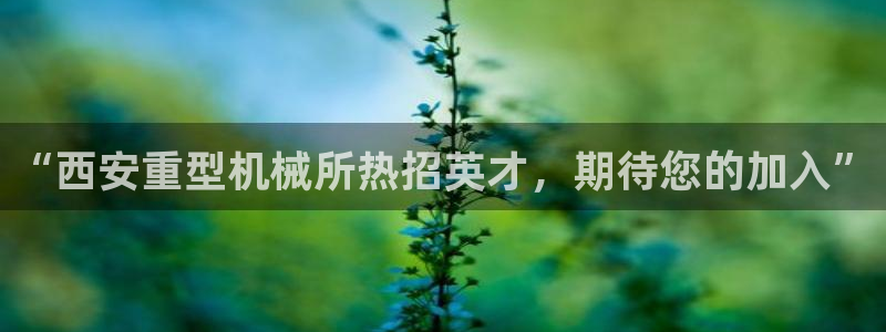 龙八国际q18 tv