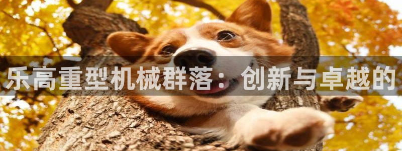 龙八国际什么游戏给钱