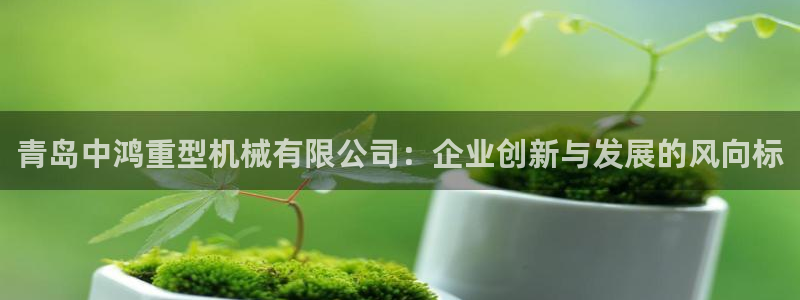 龙八国际音乐
