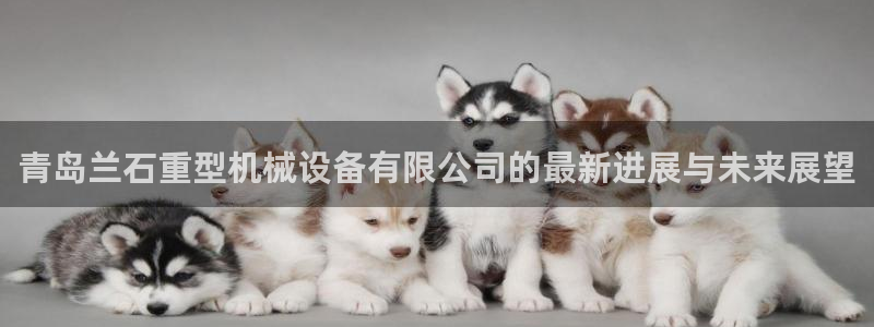 正规龙八国际