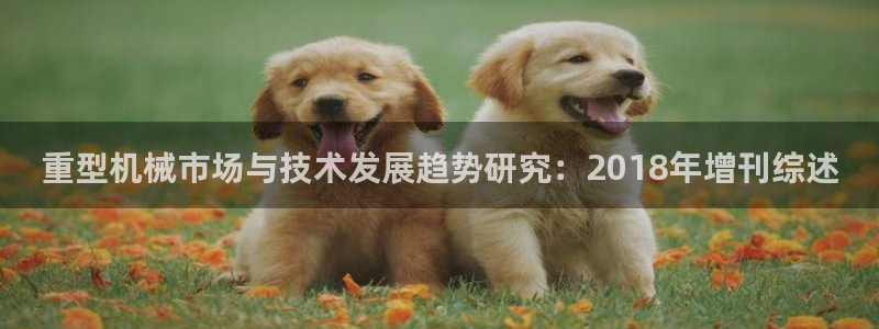 龙八国际p