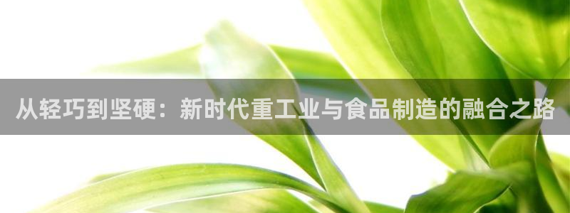 不会玩龙八国际