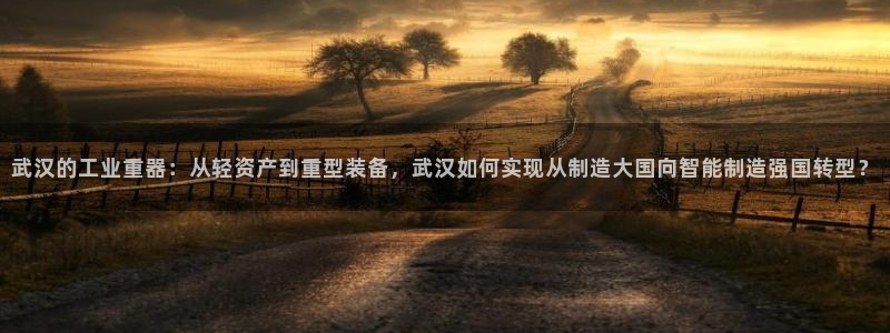 龙八国际手游