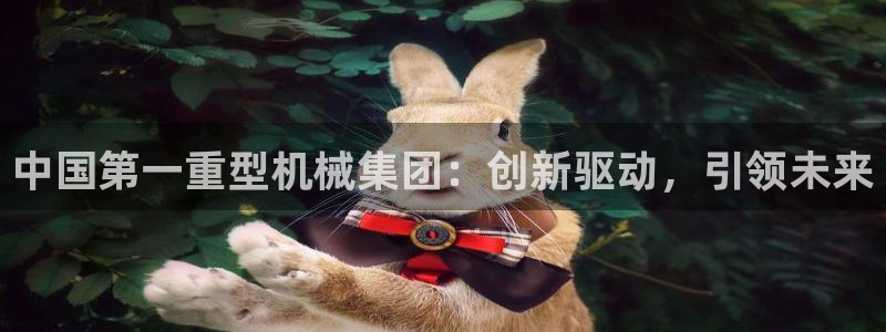 龙八国际新版
