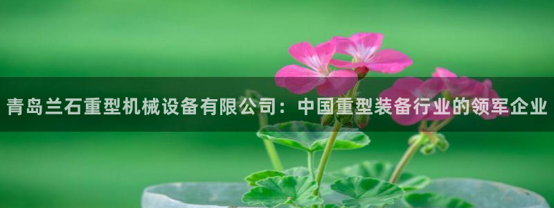 龙八国际娱乐群