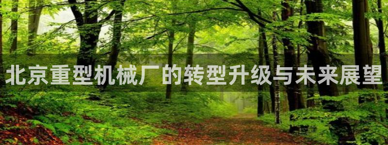 龙八国际app骗局