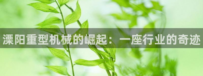 龙八国际城网址