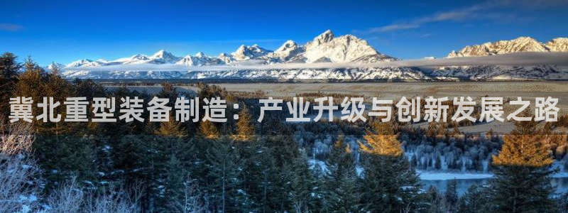 龙八国际城网站