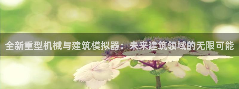 龙八国际网页long123