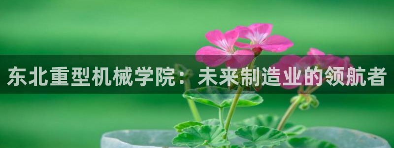 龙八国际 官网