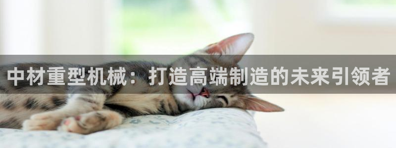 龙八国际网站