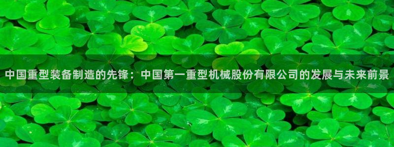 龙八国际娱乐二维码