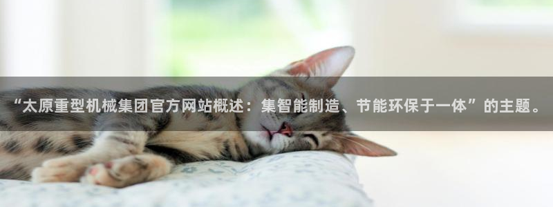 龙八国际是什么