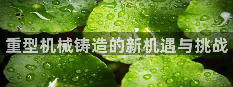 正规龙八国际娱乐