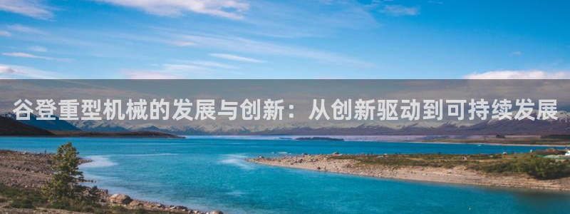 龙 八国际