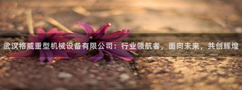 不会玩龙八国际