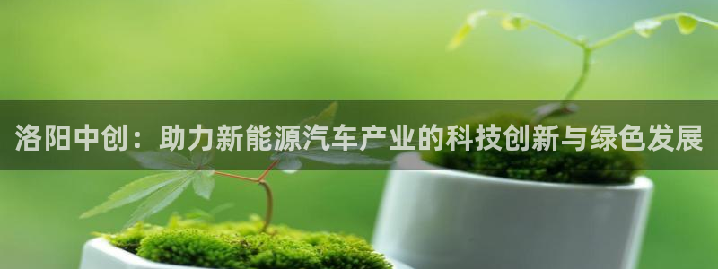 龙八国际代理登陆