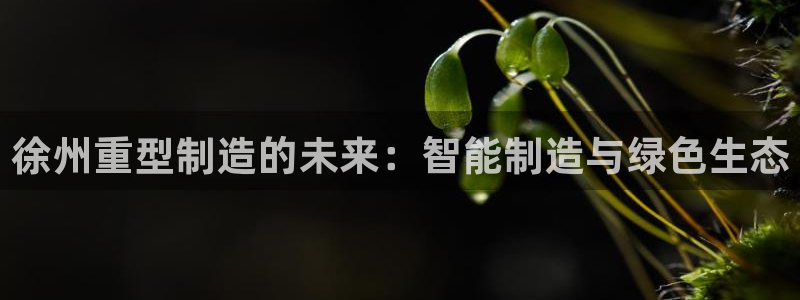 龙八国际官方网
