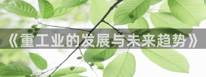龙八国际是个什么游戏