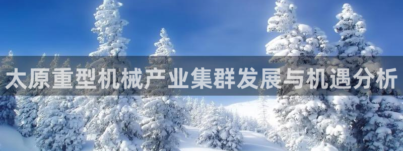 龙八国际选q18点tv