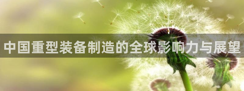 龙八国际打开页面