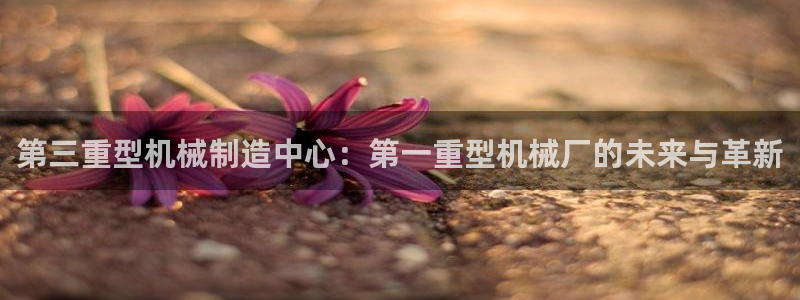 龙八国际app骗局