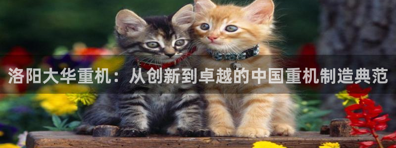 龙八国际下载链接安卓