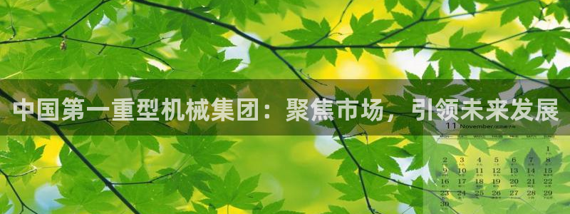 龙八国际娱乐官方