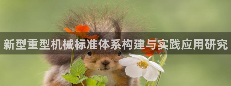 龙八国际是个什么游戏