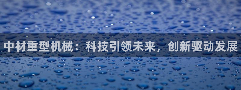 龙八国际头号玩家是谁啊