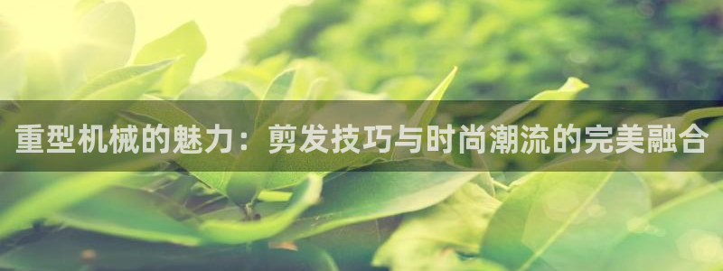 龙八国际可靠