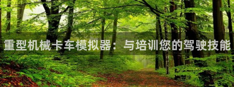 在龙八国际