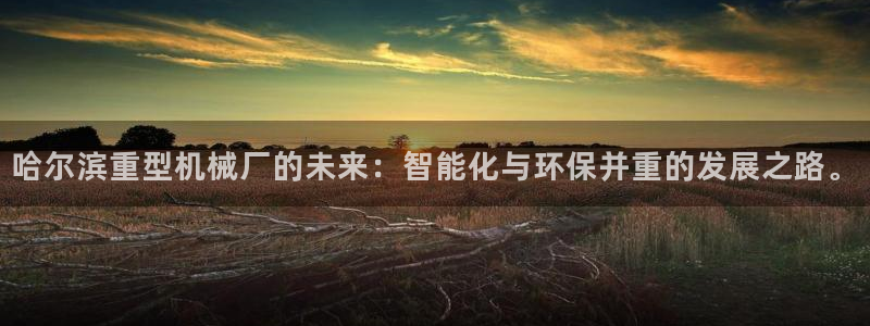 龙八国际服官方