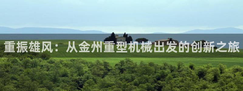 龙八国际
