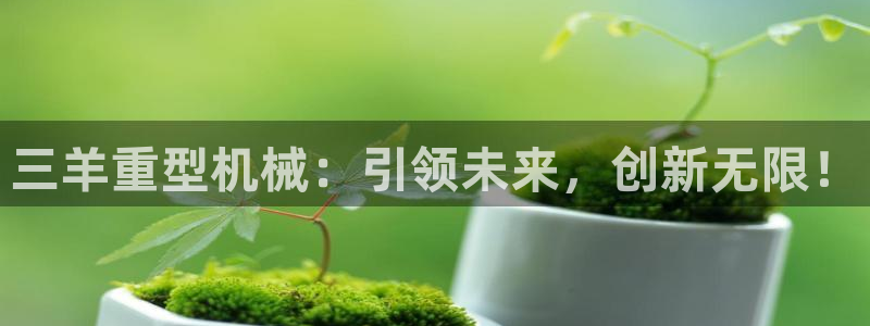 龙八国际城