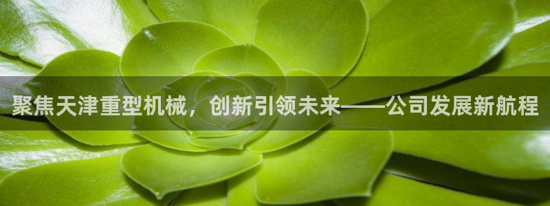 龙八国际官方网站入口
