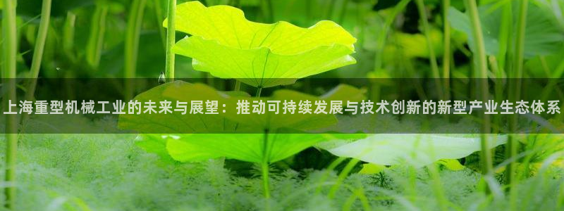 龙八国际官网网址