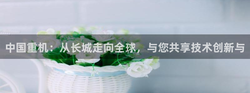龙八国际不管吗