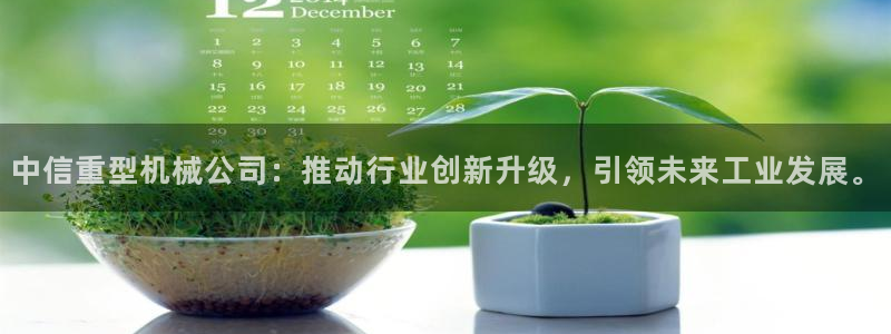 龙八国际娱乐pt