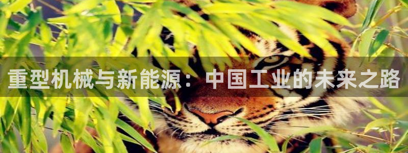 龙八国际客户端下载苹果
