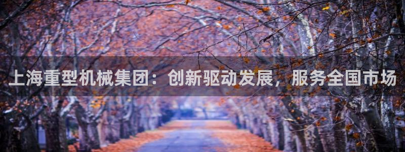 龙八国际彩金购买