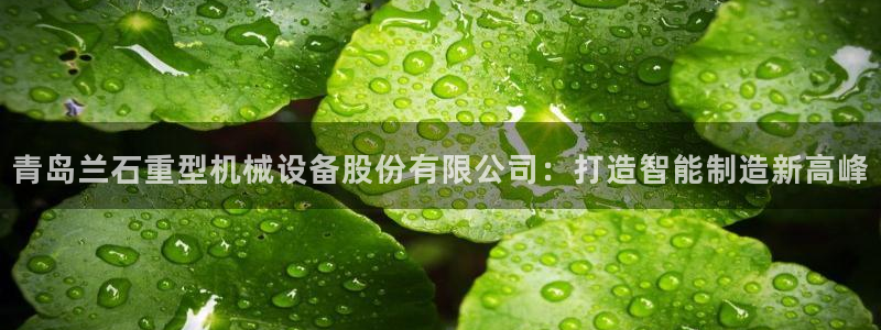 下载龙八国际官网