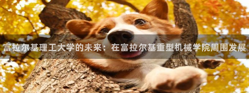 龙八国际官网进入