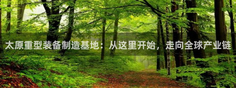 龙八国际服官网入口
